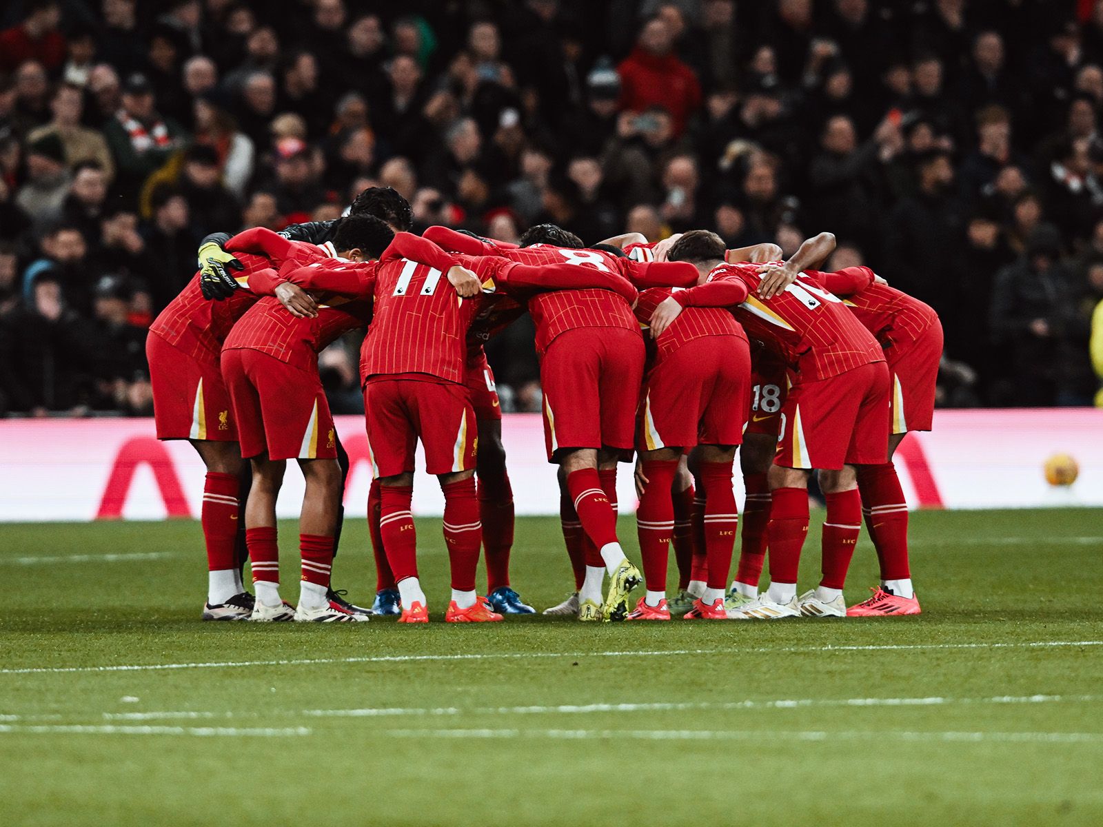 搏击网红正面挑战鸽武缘，直言输了给10W，对方却迟迟不敢回应（搏击网红公开向鸽武缘下战书：放话输了赔10万，对方迟迟无回应）